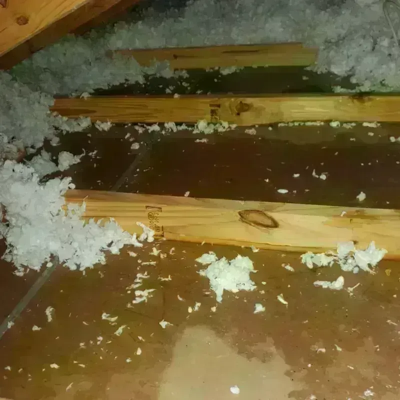 Attic Water Damage in McLean County, IL