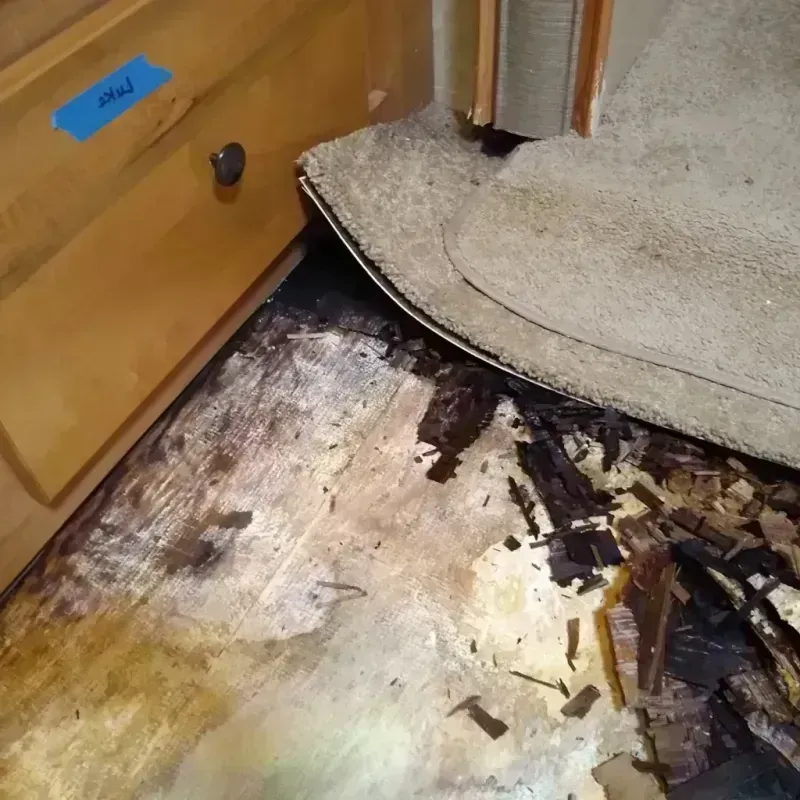 Best Wood Floor Water Damage Service in McLean County, IL